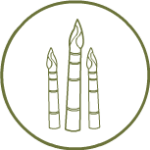 Invasive Plants