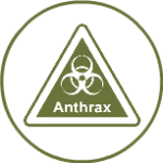 Anthrax & Lead Paint