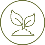 Sustainability