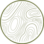 Topography
